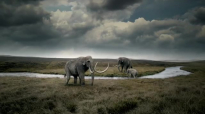 Attenborough és a mamut temető online teljes dokumentumfilm 2021