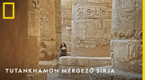 Tutankhamon mérgező sírja online teljes film 2022