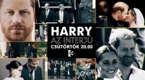Harry herceg - Az interjú online teljes dokumentum film 2023